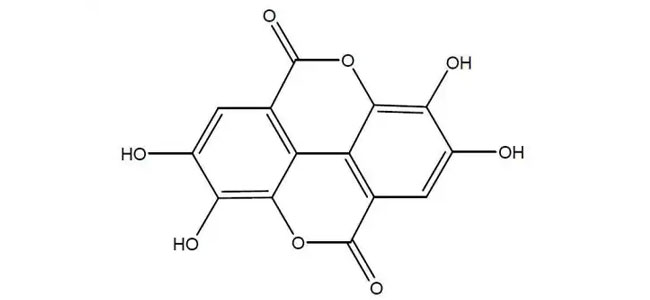 Ellagic-acid1.jpg