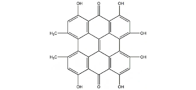 Mycoporphyrin.jpg