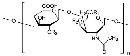 The-mechanism-of-action-of-chondroitin-sulfate.jpg