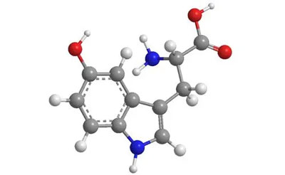 What-is-5-Hydroxytryptophan-(5-HTP).jpg