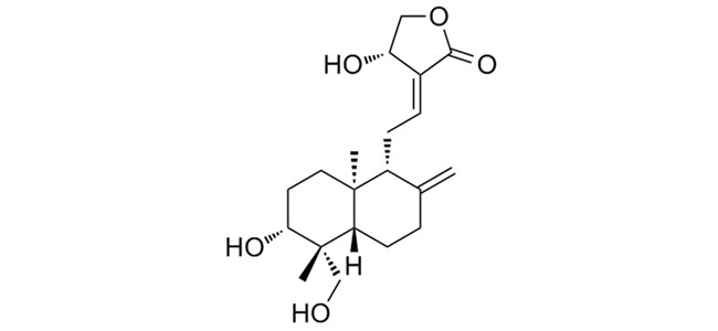 Andrographolide.jpg