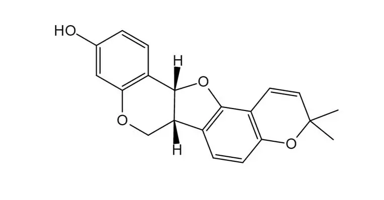 Mycoporphyrin.jpg