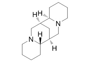 What-is-Sparteine-Sulfate-Pentahydrate.jpg