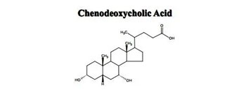 What-is-chenodeoxycholic-acid.jpg