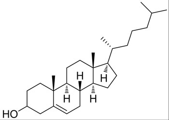 The-effect-of-cholesterol.jpg